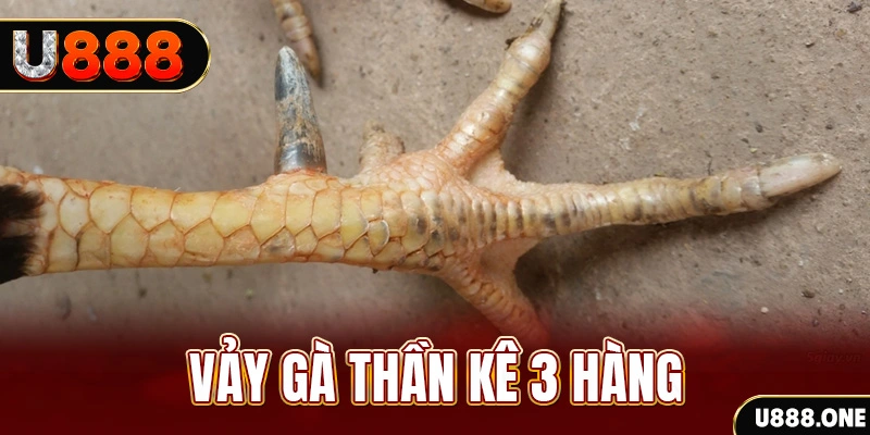 788bet nổ hũ đổi thưởng . ai