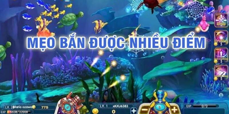 788bet đá gà