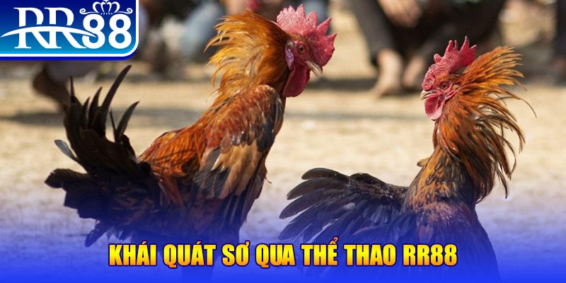 788bet baccarat bịp như thế nào