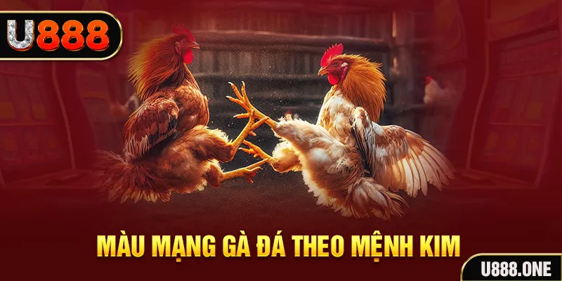 788bet gà chọi tiêu phong