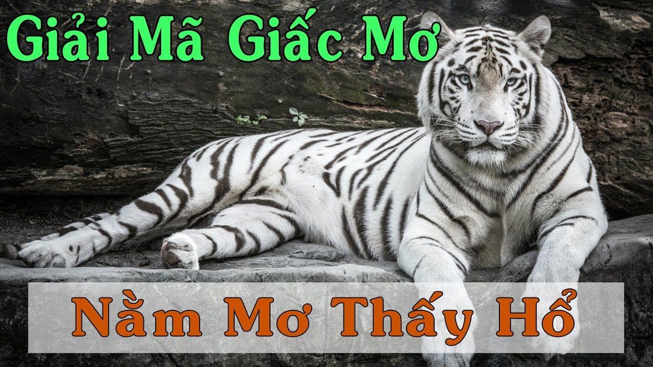 788bet xổ số miền trung