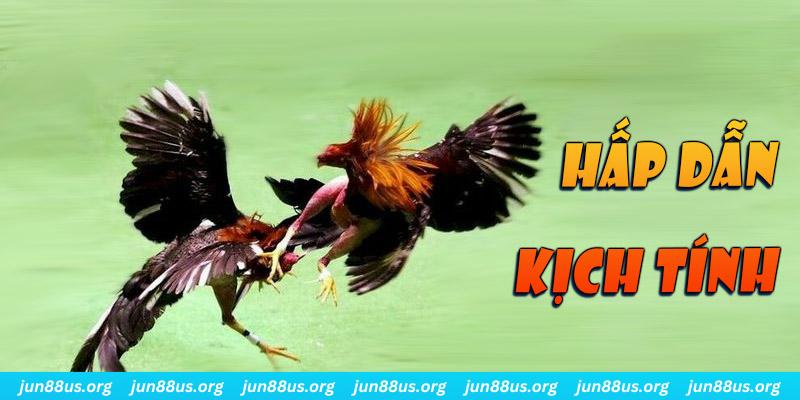 788bet bắn cá long vương