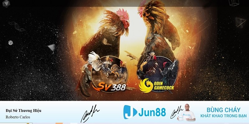 788bet xổ số miền nam hàng tuần