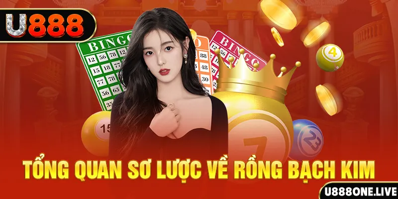 788bet how to win at slot machines