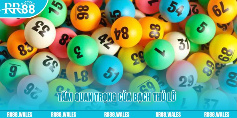788bet Ws168 Đá Gà