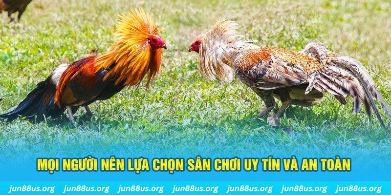 788bet hơn cả bạn bè