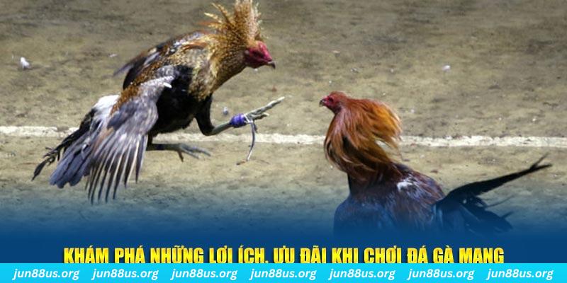 788bet Tài Xỉu 2