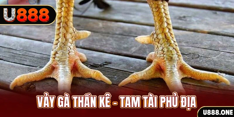 788bet xổ số 30 ngày