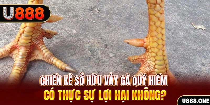 788bet game cá cược máy bay