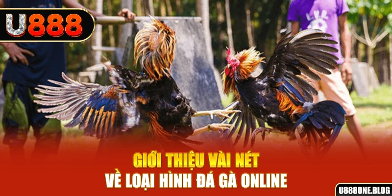 788bet xổ số miền nam thứ ba