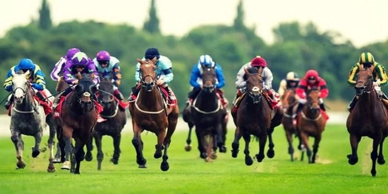 788bet xổ số miền bắc thứ hai