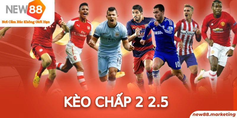 788bet trực tiếp đá gà thomo