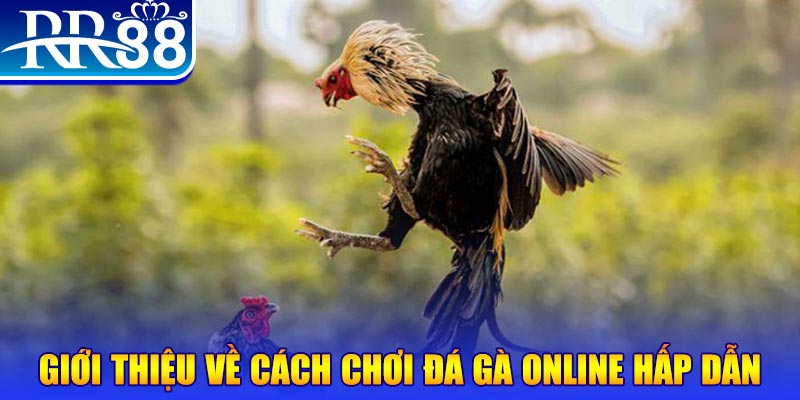 788bet nổ hũ 2 mặt là gì