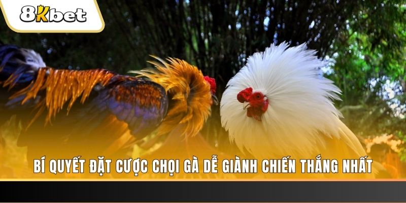 788bet may club nổ hũ
