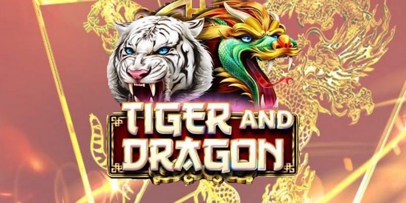788bet cá cược tiếng anh là gì