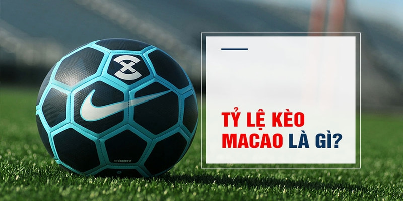788bet Trăm Knorr