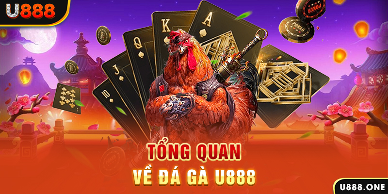 788bet what is casino bonus wagering